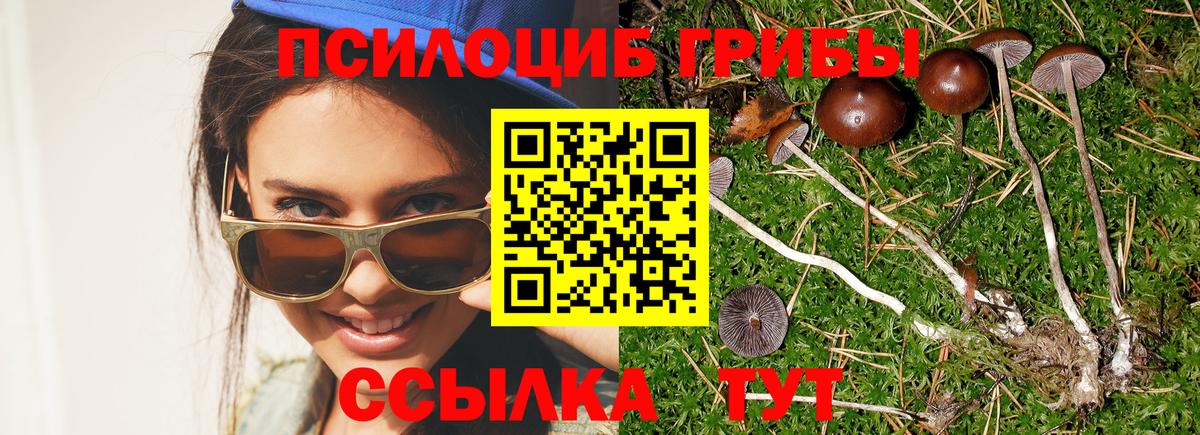 Псилоцибиновые грибы мицелий Орехово-Зуево