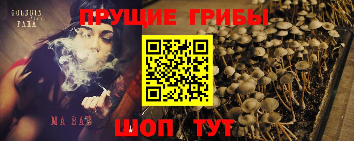 Галлюциногенные грибы GOLDEN TEACHER  Галлюциногенные грибы прущие грибы  Вход с VPN  Орехово-Зуево 